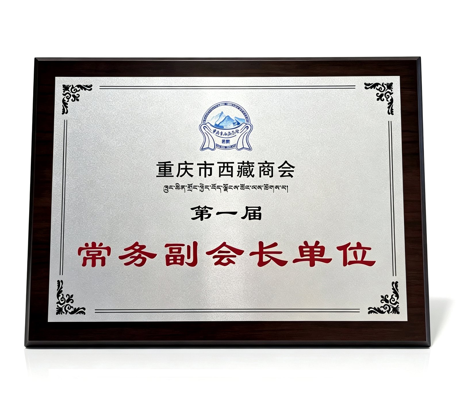 第一届常务副会长单位