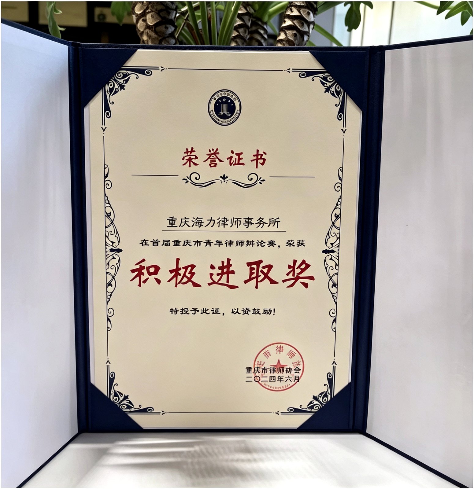 青年律师辩论赛积极进取奖