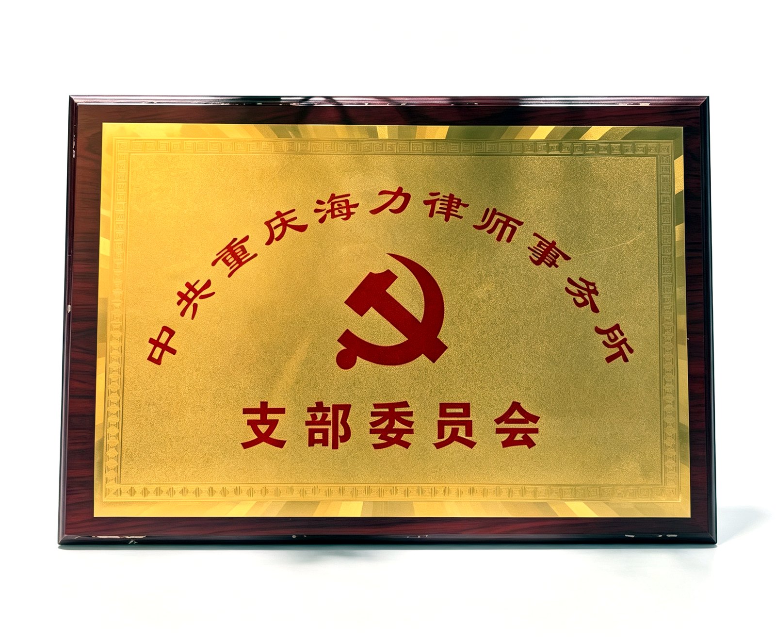中共重庆海力律师事务所支部委员会
