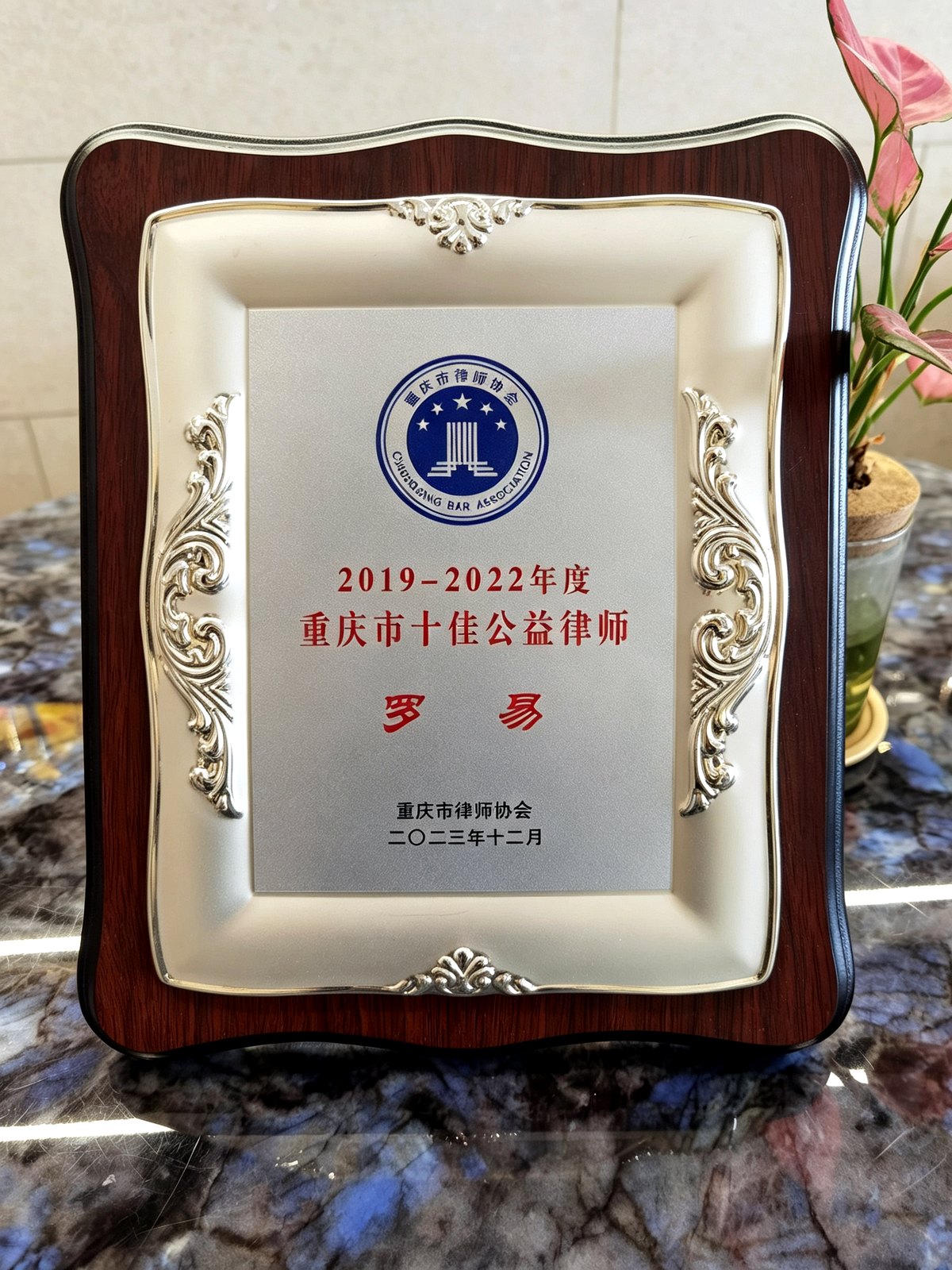 重庆市十佳公益律师 · 罗易