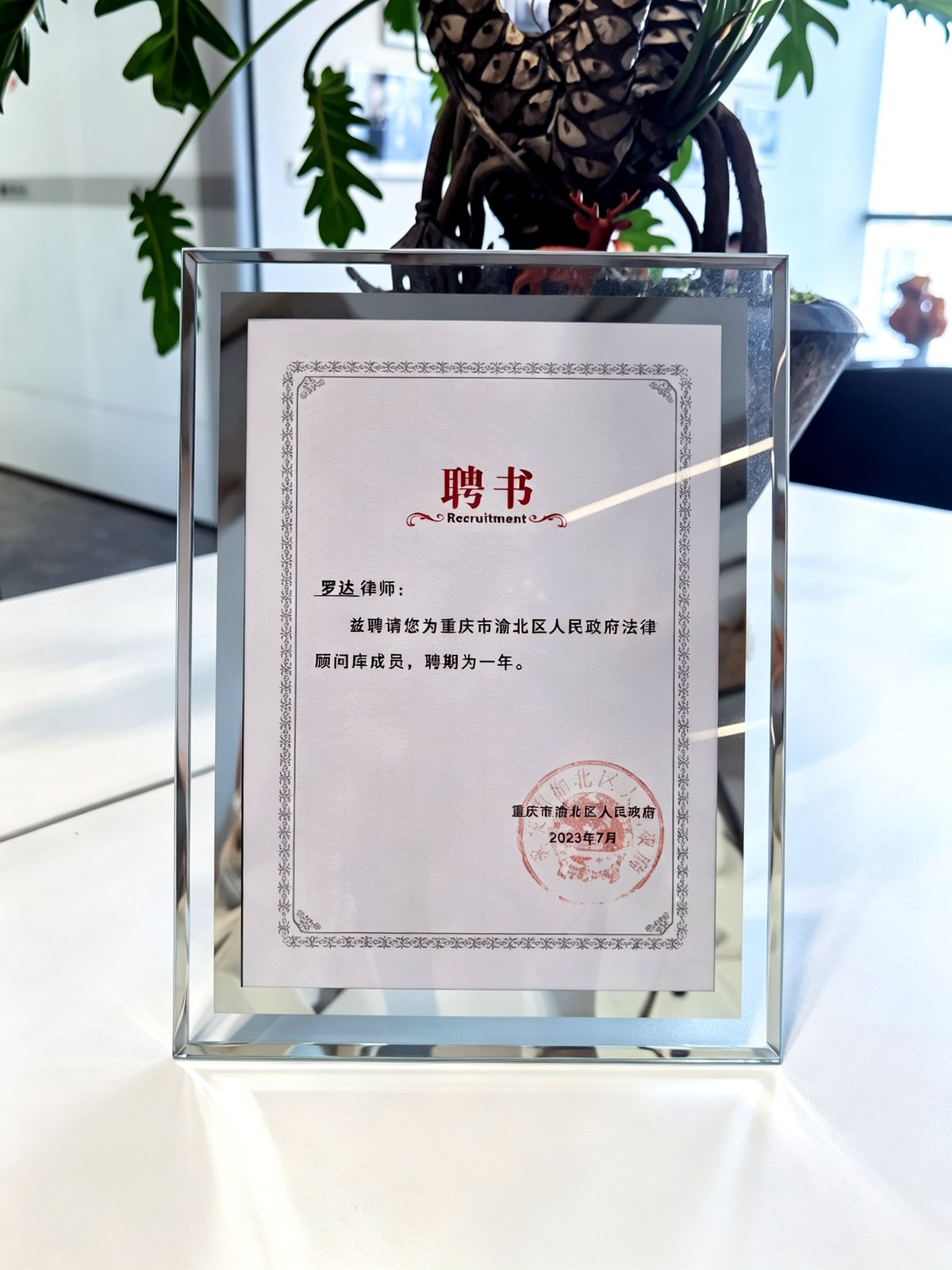 渝北区人民政府法律顾问库成员 · 罗达