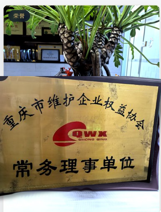 常务理事单位 奖牌