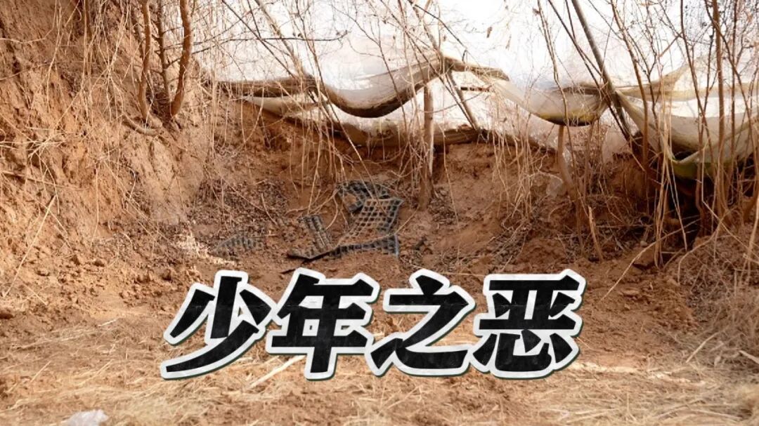 重庆海力律师事务所