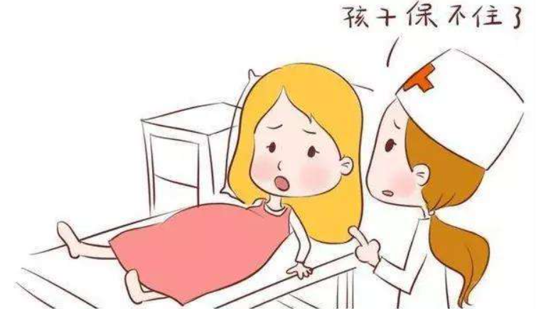 重庆海力律师事务所