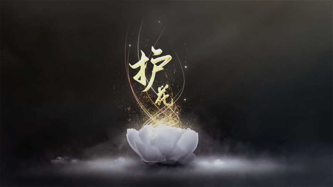 重庆海力律师事务所