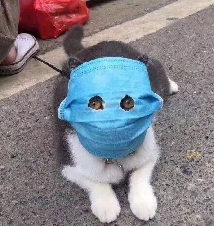 重庆海力律师事务所