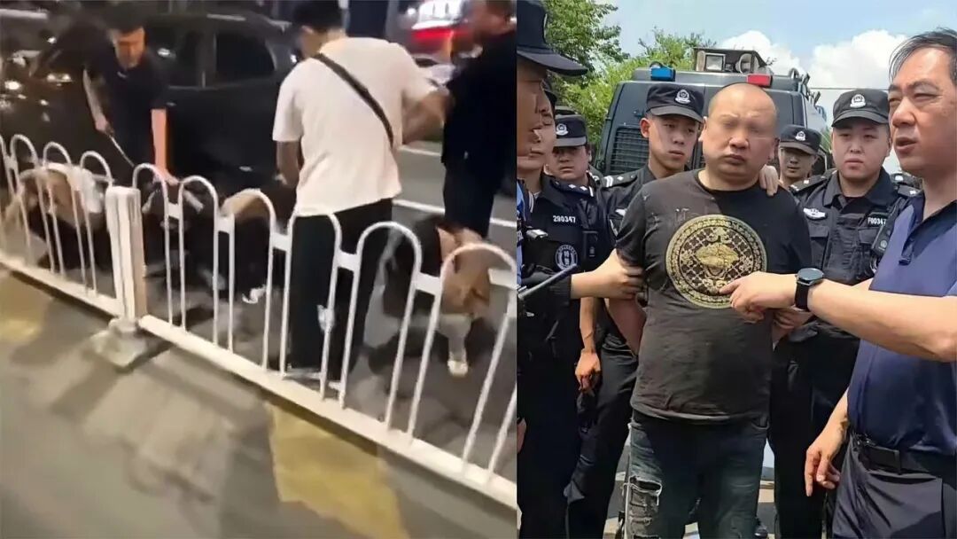 重庆海力律师事务所