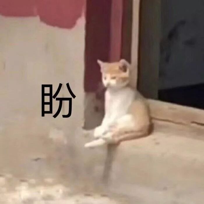 重庆海力律师事务所